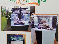 專業(yè)海洋生物魚缸選購(gòu)指南 水藍(lán)玻璃制品公司如何為您打造理想水族世界