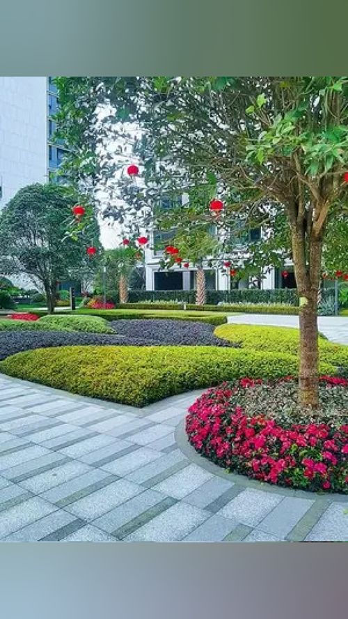 無需艷羨別人的風(fēng)景，腳下的路終會(huì)繁花似錦