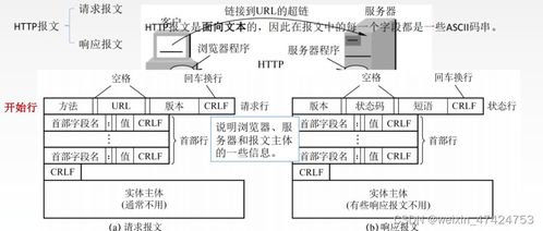 計算機網絡復習06 應用層